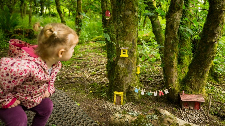 A child in a forest, looking at trees that have little doors and windows on them